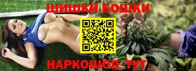 тгк Тула