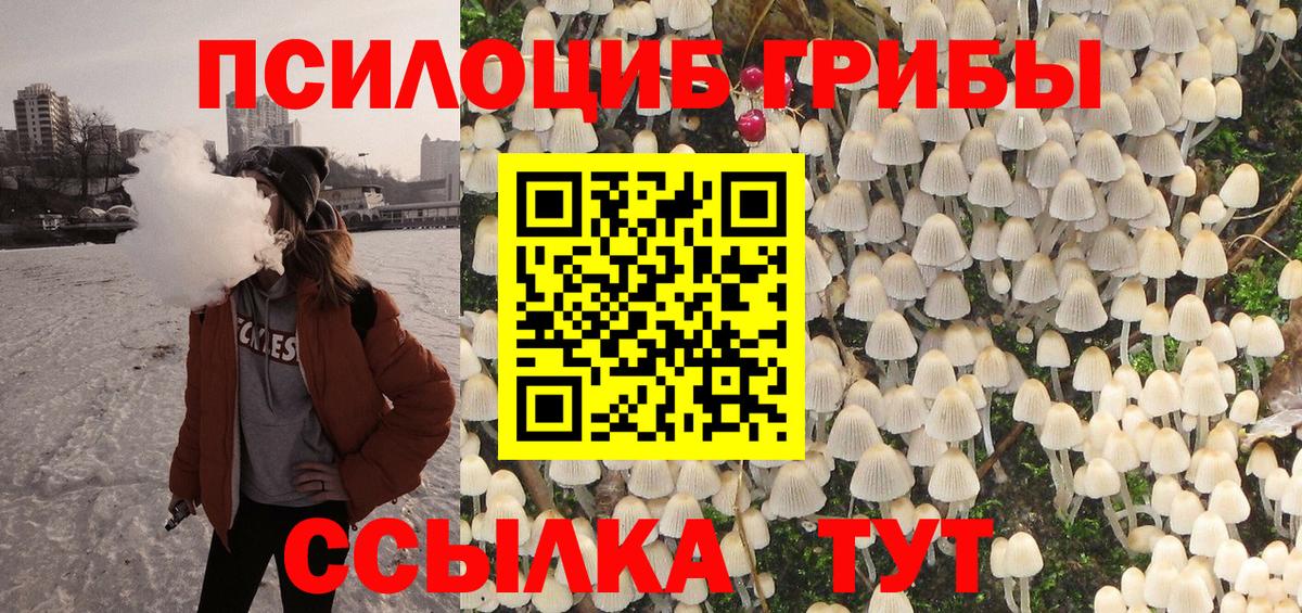 наркота  Псилоцибиновые грибы Psilocybe  Вход с VPN  Псилоцибиновые грибы прущие грибы  Полевской 